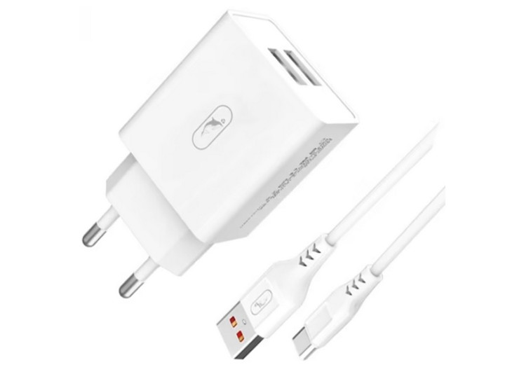 Мережевий зарядний пристрій SkyDolphin SC30T 2USB, 2.1A White  + кабель Type-C