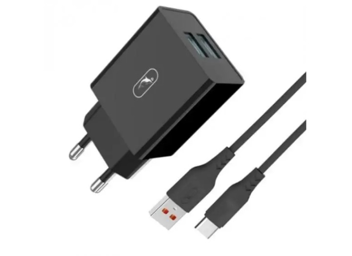 Мережевий зарядний пристрій SkyDolphin SC30T 2USB, 2.1A  + кабель Type-C