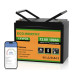 Акумулятор LiFePO4 12.8V 100Ah Eco-Worthy ECO-LFP12100 літій залізо фосфатний вбудованим BMS Bluetooth